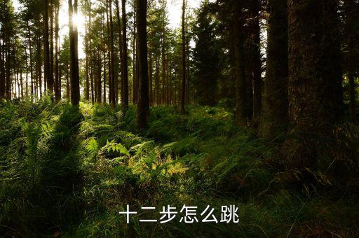 十二步怎么跳