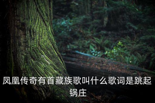锅庄舞蹈新吉祥如意,锅庄新吉祥如意分解动作