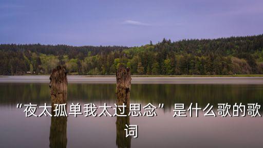 “夜太孤单我太过思念”是什么歌的歌词