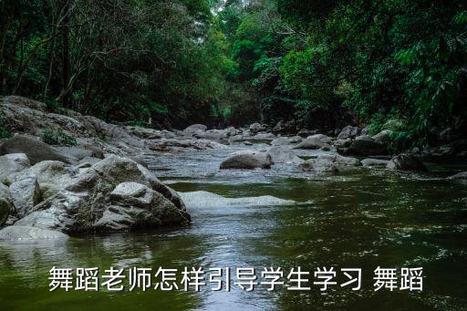  舞蹈老师怎样引导学生学习 舞蹈