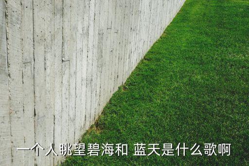 一个人眺望碧海和 蓝天是什么歌啊