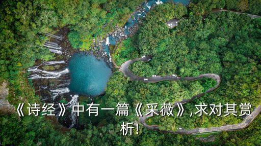 舞蹈采薇舞表达了什么意思