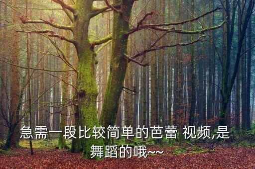 急需一段比较简单的芭蕾 视频,是 舞蹈的哦~~