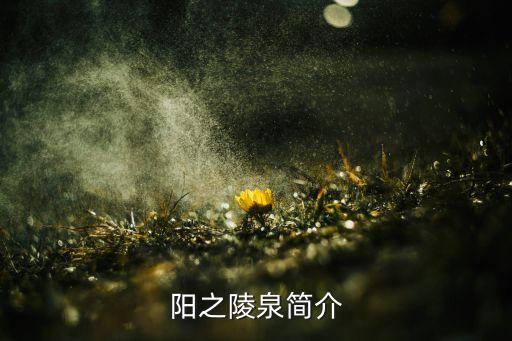 水骨泉舞蹈,卓玛泉的舞蹈