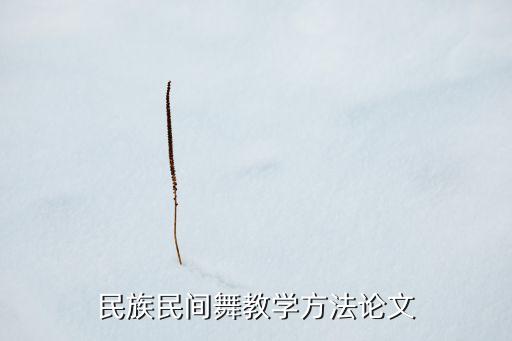 民族民间舞教学方法论文