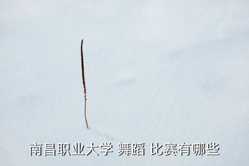 舞蹈比赛 恰恰,恰恰舞蹈比赛视频