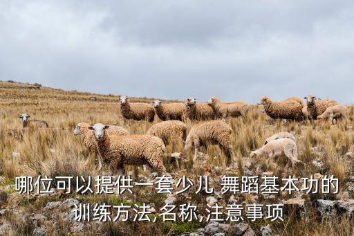 哪位可以提供一套少儿 舞蹈基本功的 训练方法,名称,注意事项
