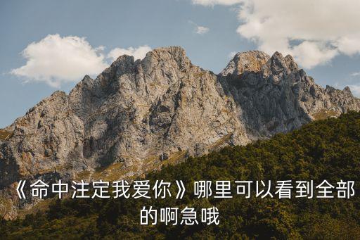 《命中注定我爱你》哪里可以看到全部的啊急哦