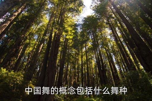 中国舞的概念包括什么舞种