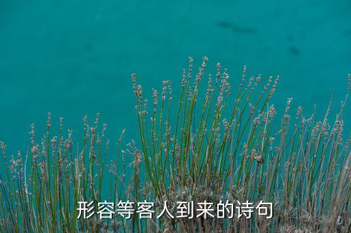 形容等客人到来的诗句
