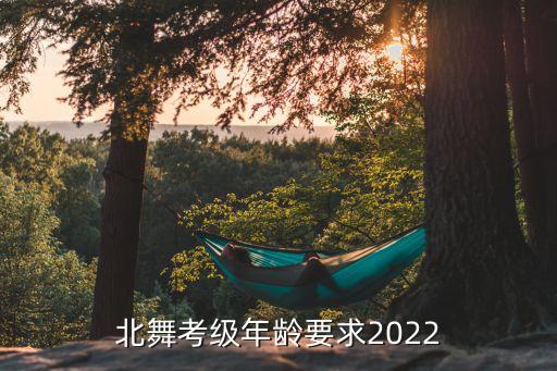 北京舞蹈学院九级平转