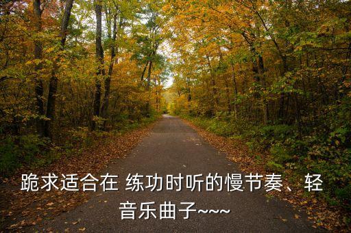 跪求适合在 练功时听的慢节奏、轻 音乐曲子~~~