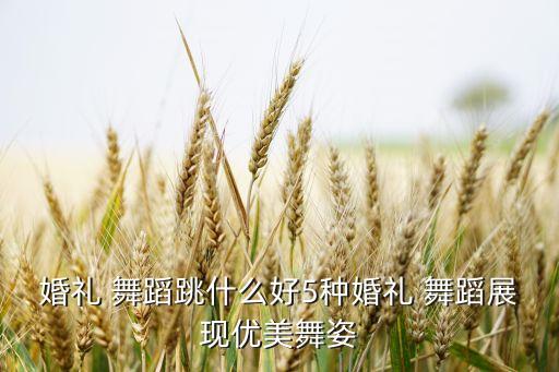 比较出名的形体舞蹈