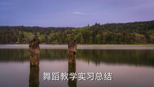 《国家》舞蹈分解动作,歌曲《国家》舞蹈视频