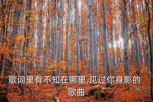 歌词里有不知在哪里,见过你身影的 歌曲