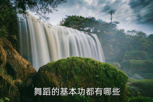 舞蹈平转音乐,大学舞蹈可以转音乐吗