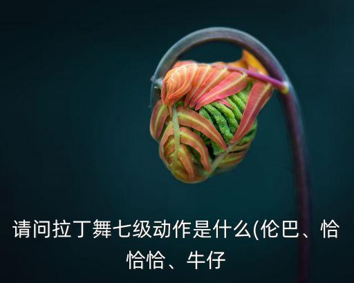 请问拉丁舞七级动作是什么(伦巴、恰恰恰、牛仔