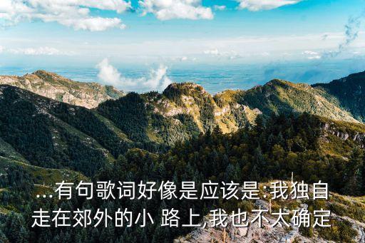 ...有句歌词好像是应该是:我独自走在郊外的小 路上,我也不太确定