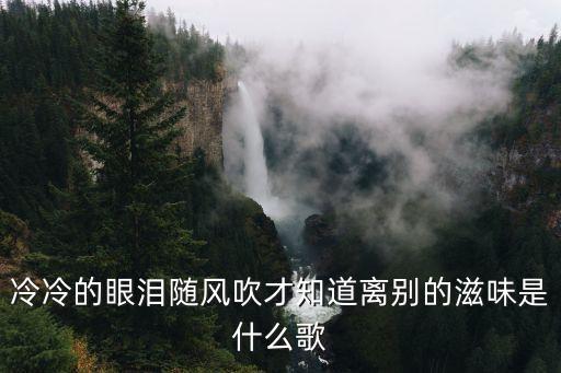 冷冷的眼泪随风吹才知道离别的滋味是什么歌