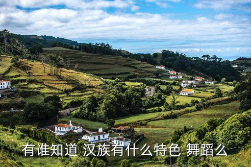 有谁知道 汉族有什么特色 舞蹈么