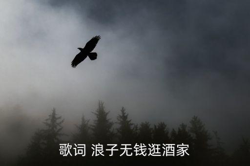 舞蹈浪子闲话视频,浪子闲话舞蹈教学完整版