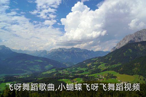 飞呀飞呀舞蹈歌曲,小蝴蝶飞呀飞舞蹈视频