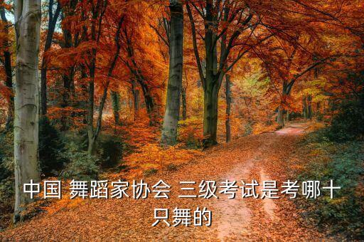 中国 舞蹈家协会 三级考试是考哪十只舞的