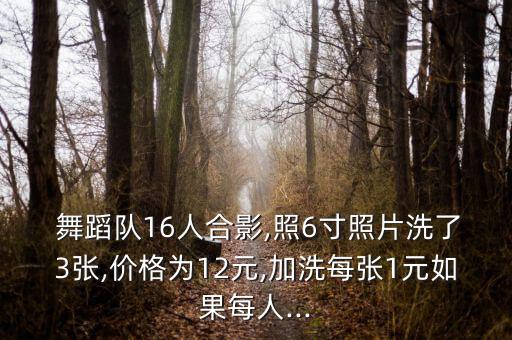 一个舞蹈队共有16人,舞蹈队共有15名队员