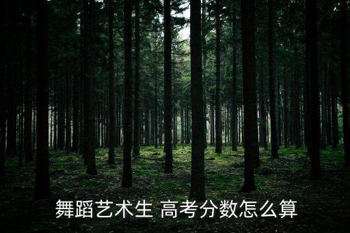  舞蹈艺术生 高考分数怎么算