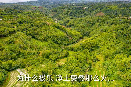 为什么极乐 净土突然那么火...
