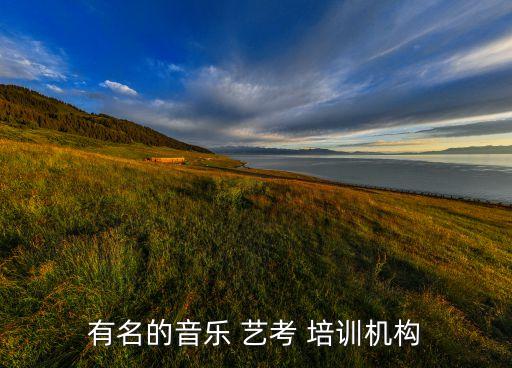 有名的音乐 艺考 培训机构