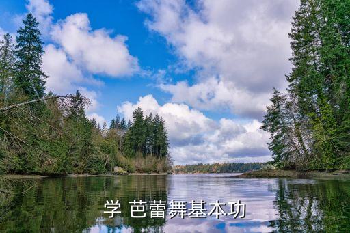 芭蕾舞蹈简单动作,春天的芭蕾舞蹈分解动作