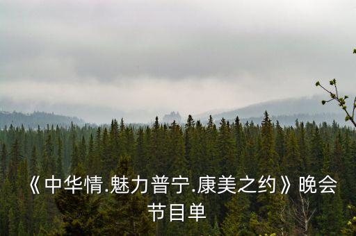 《中华情.魅力普宁.康美之约》晚会节目单