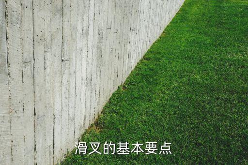 舞蹈什么叉简单,blackpink什么舞蹈最简单