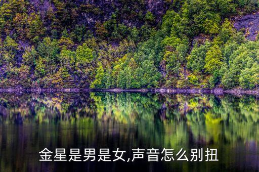 金星是男是女,声音怎么别扭