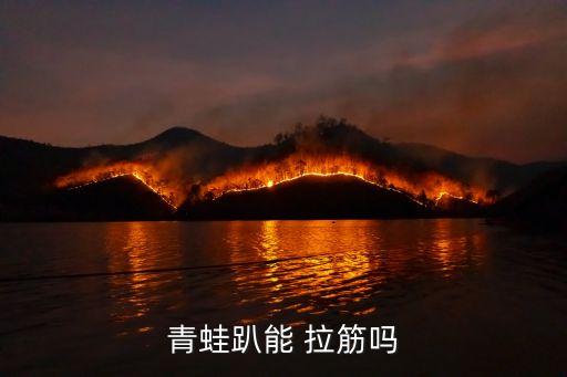 青蛙趴能 拉筋吗