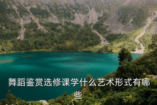  舞蹈鉴赏选修课学什么艺术形式有哪些