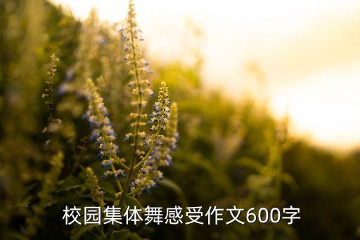  校园集体舞感受作文600字