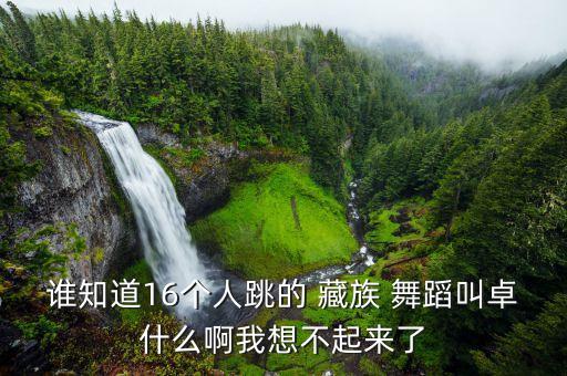 谁知道16个人跳的 藏族 舞蹈叫卓什么啊我想不起来了