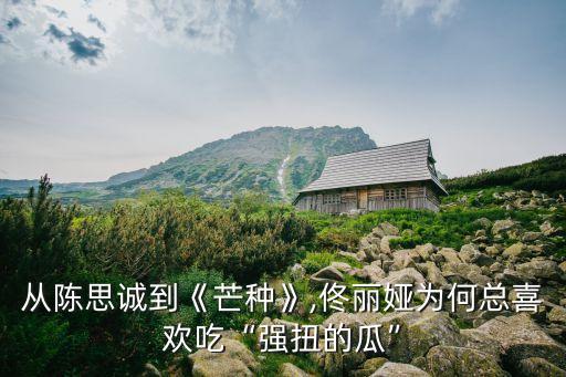 从陈思诚到《芒种》,佟丽娅为何总喜欢吃“强扭的瓜”