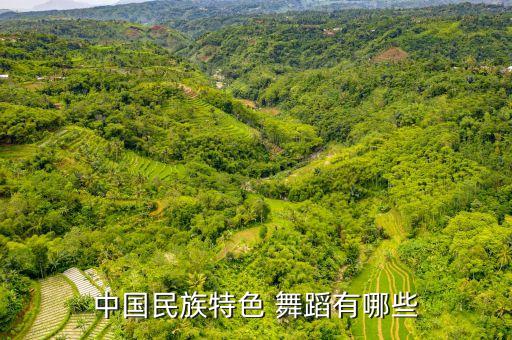 中国民族特色 舞蹈有哪些