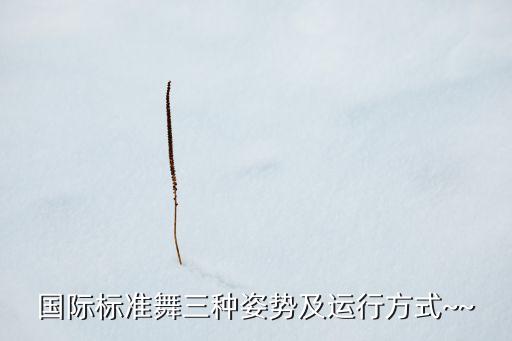 国际标准舞三种姿势及运行方式~~
