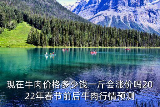 现在牛肉价格多少钱一斤会涨价吗2022年春节前后牛肉行情预测