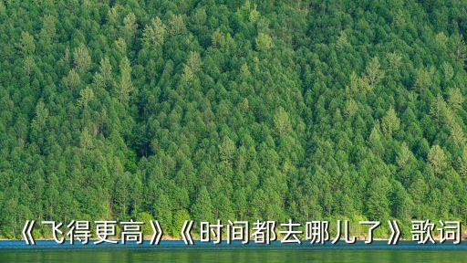 《飞得更高》《时间都去哪儿了》歌词
