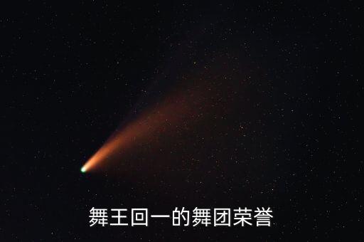 舞王回一的舞团荣誉