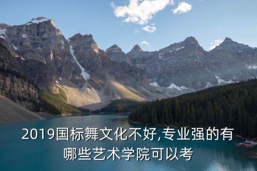 2019国标舞文化不好,专业强的有哪些艺术学院可以考