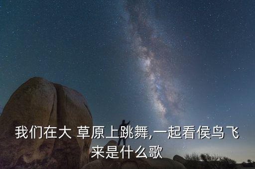 陪你一起看草原的舞蹈