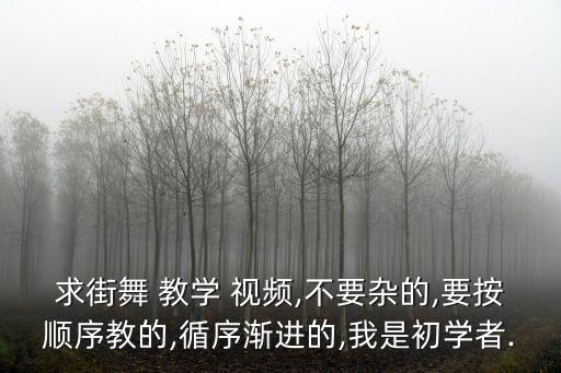 求街舞 教学 视频,不要杂的,要按顺序教的,循序渐进的,我是初学者.