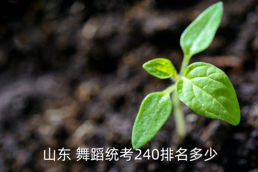 山东舞蹈考试网