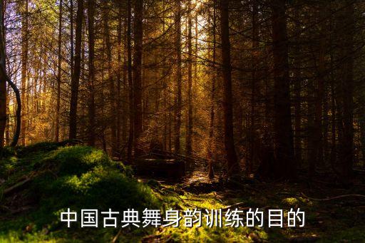 中国古典舞身韵训练的目的
